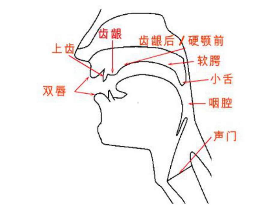 国际音标讲解课件.ppt_第2页