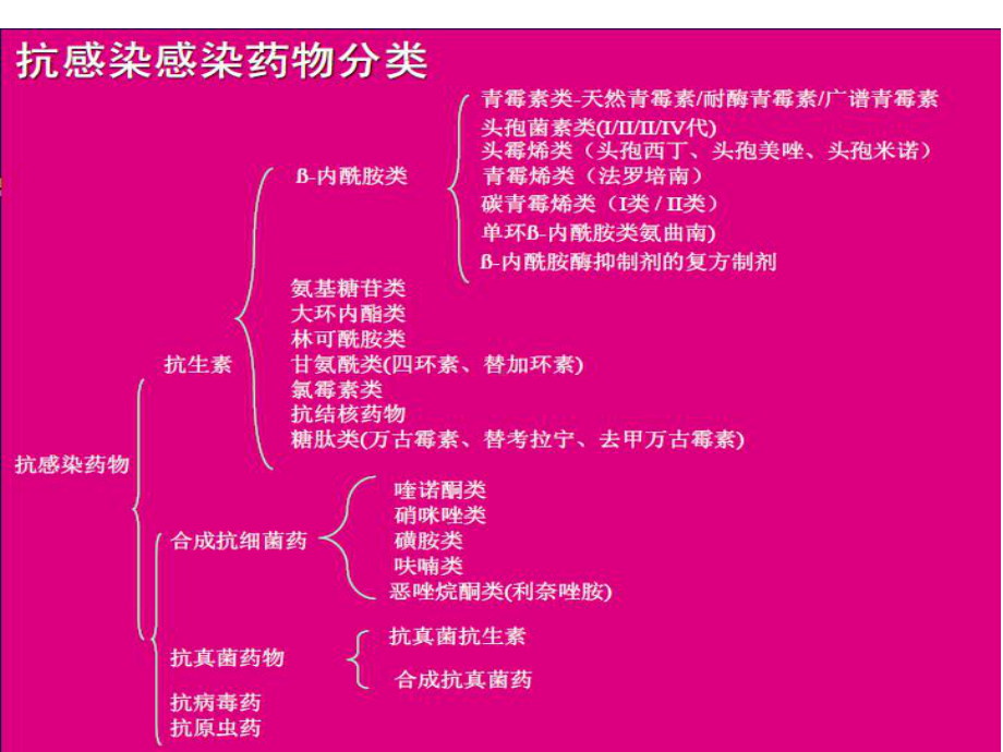 抗生素的合理应用及细菌耐药课件.ppt_第3页