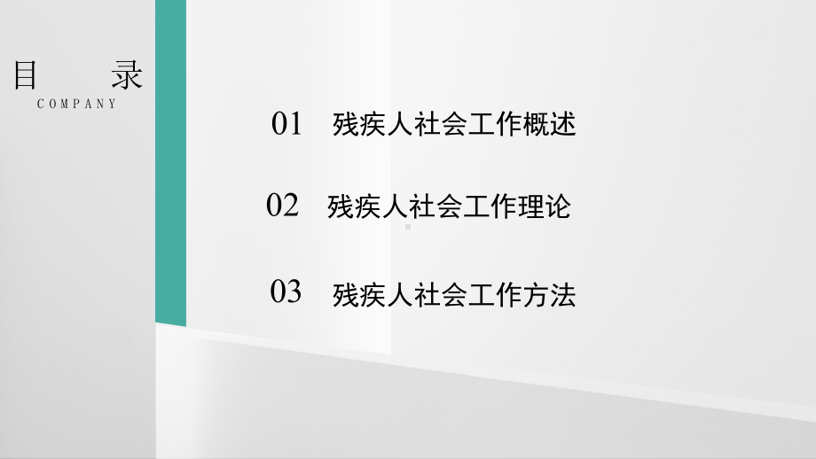 残疾人社会工作课件.pptx_第2页