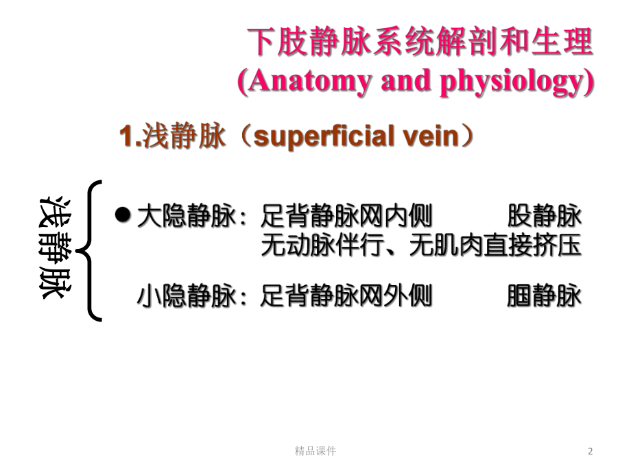 大隐静脉曲张护理查房医学课件.ppt_第2页