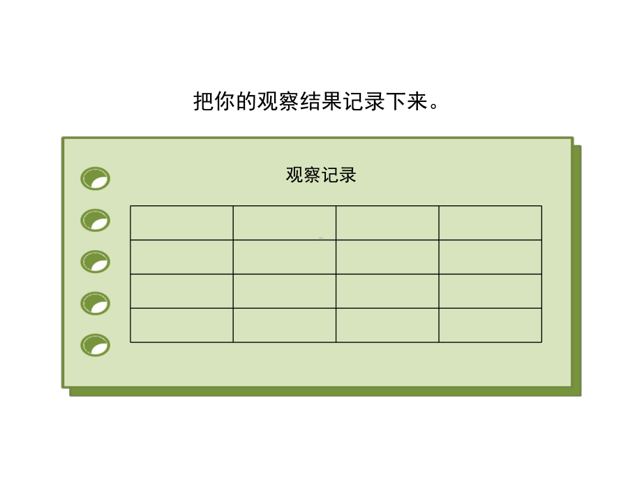 小学科学-植物的根教学课件设计.ppt_第3页