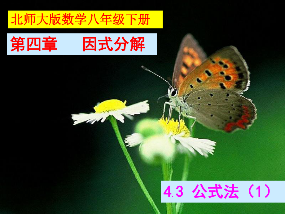 北师大版八年级数学下册-43-公式法-课件(共21张).pptx_第1页