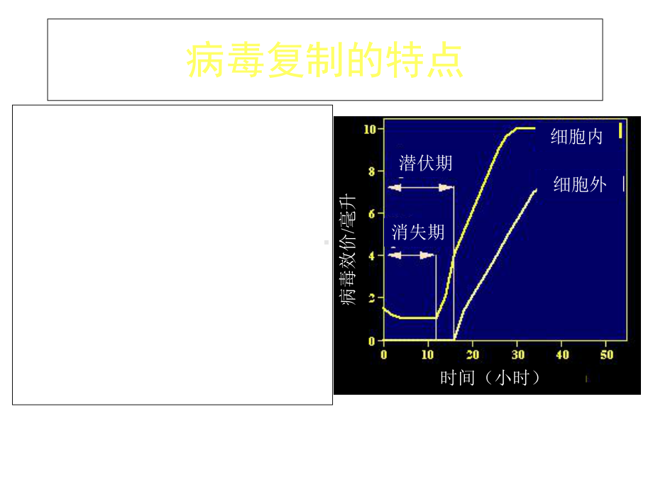 微生物与人类健康七-病毒的复制课件.ppt_第2页