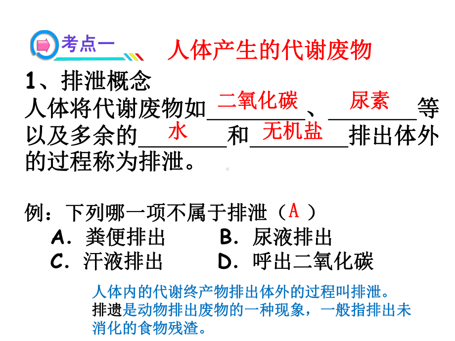 北师大版七年级下册生物《人体内代谢废物的排出》复习课件.ppt_第3页