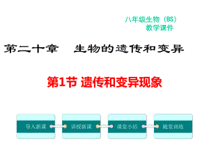 北师大版八年级生物上册第20章生物的遗传和变异教学课件+习题课件.pptx