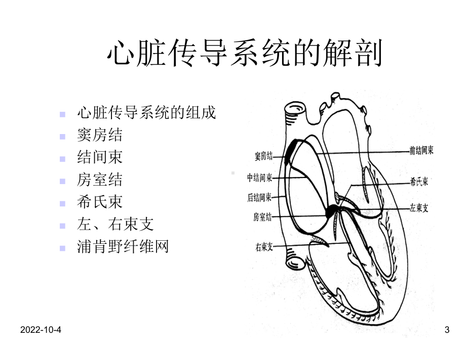 心律失常指南课件.ppt_第3页