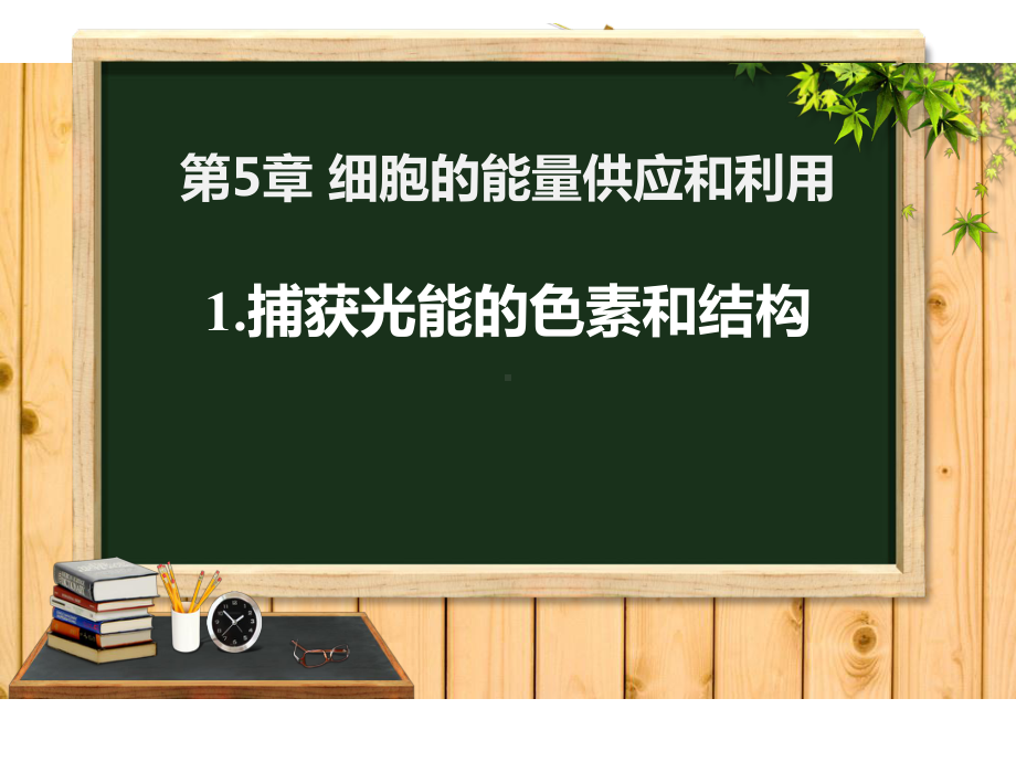 新教材541-捕获光能的色素和结构高中生物课件.pptx_第1页