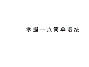 掌握一点简单语法知识课件.pptx