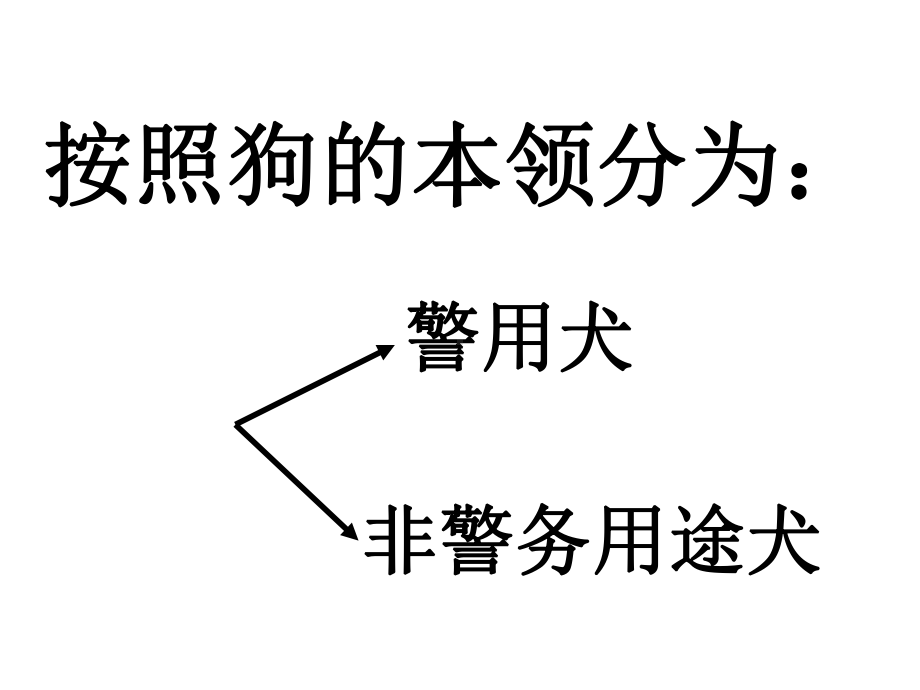 新星幼儿园大班主题《狗的趣事》课件.ppt_第2页