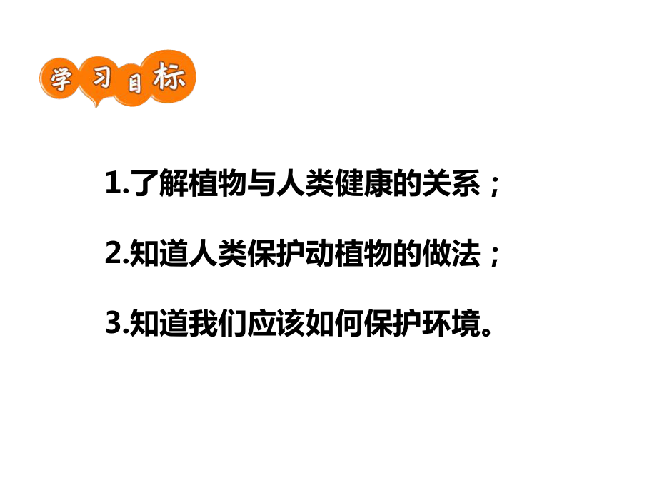 安全课件做大自然的守护者.pptx_第2页