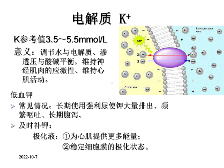 心内科常见检查及其意义专选课件.ppt_第2页