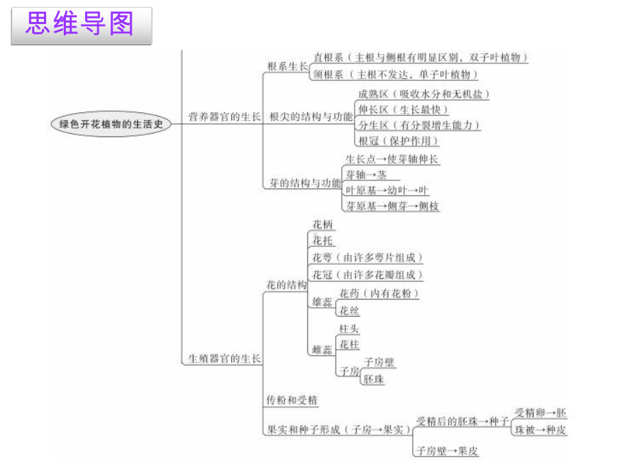 北师大版七年级上册生物第6章-章末总结课件.ppt_第3页