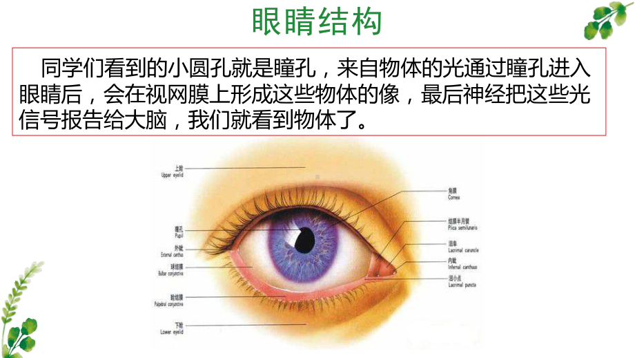 《口语交际：爱护眼睛保护视力》公开课示范课件.pptx_第3页