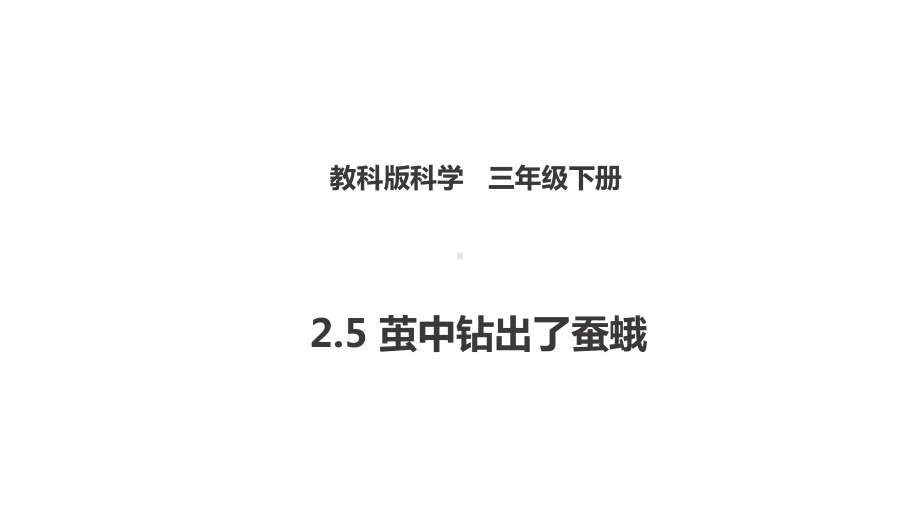 新教科版三下科学25-茧中钻出了蚕蛾(课件).ppt_第1页