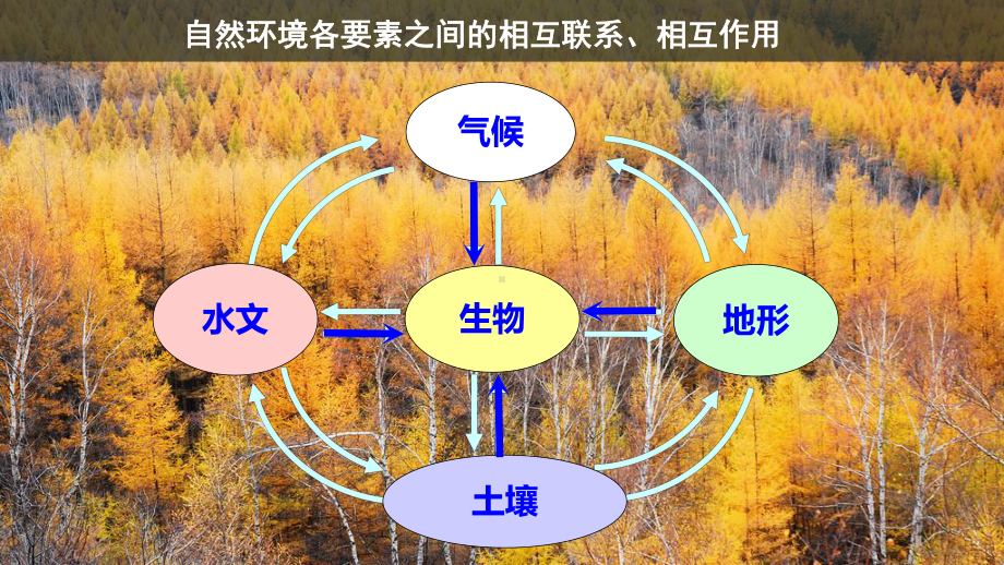 影响生物生长发育和分布的因素-课件.pptx_第2页