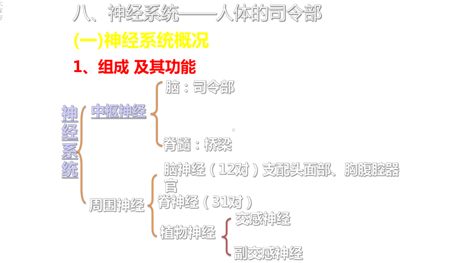 学前卫生学-神经皮肤感觉器官-课件.ppt_第2页