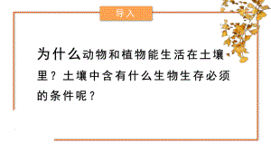 大象版小学科学新版三年级下册科学42土壤的成分(课件23张).pptx