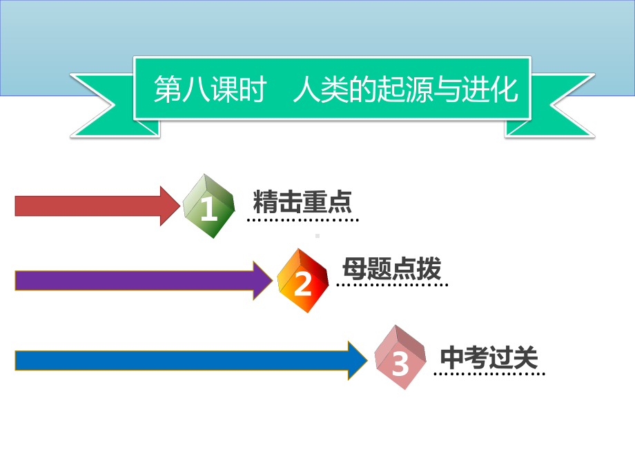 广东省中考生物模块四生物圈中的人第八课时人类的起源与进化课件2.ppt_第2页