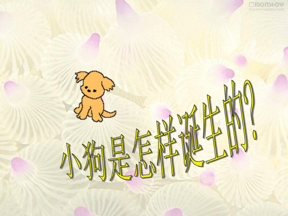 新星幼儿园大班科学《奇妙的生命》课件.ppt_第3页