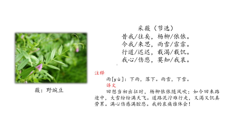 新部编版六年级下语文古诗词诵读课件.pptx_第3页