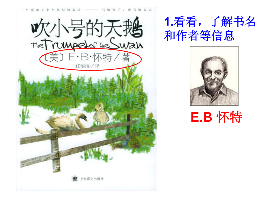 小学语文中年级课外阅读整本书指导：《吹小号的天鹅》导读课件.ppt_第3页