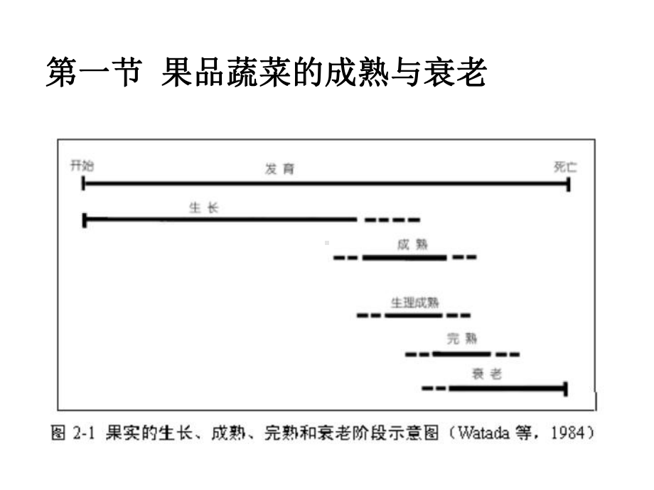 园艺产品的采后生理课件.pptx_第2页