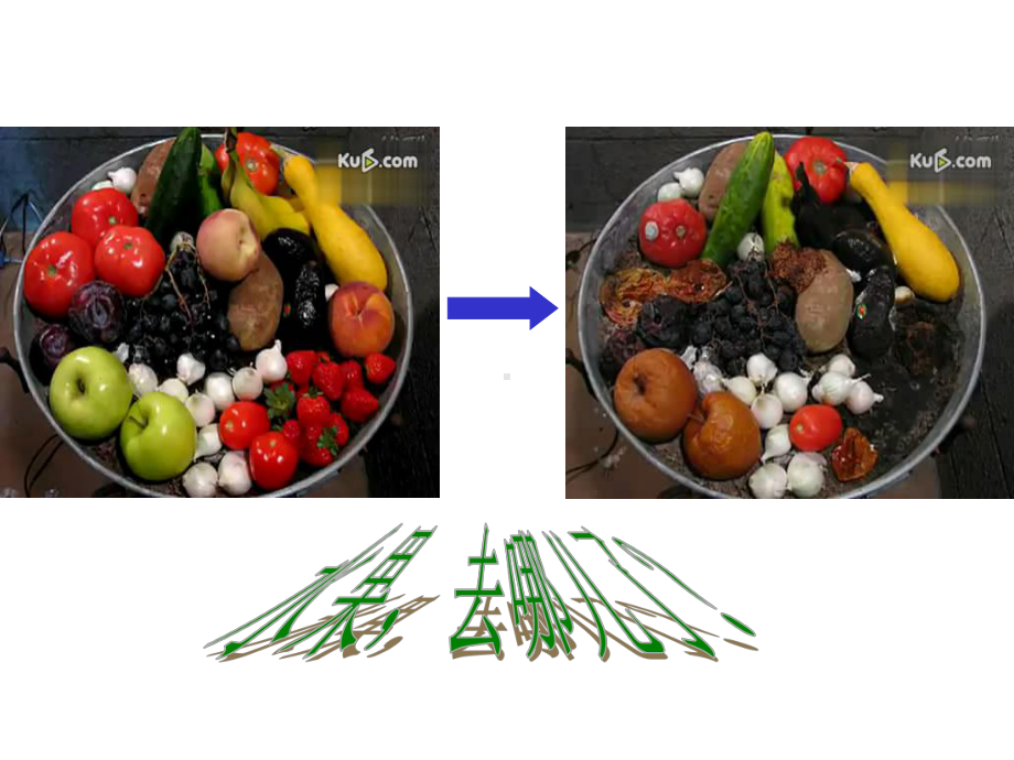 土壤里的微生物生物课件.ppt_第3页