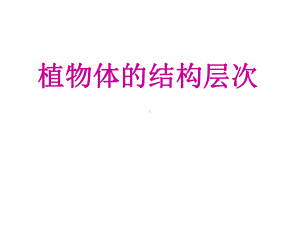 植物体的结构层次-说课p课件.ppt