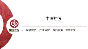 控股公司简介课件.pptx