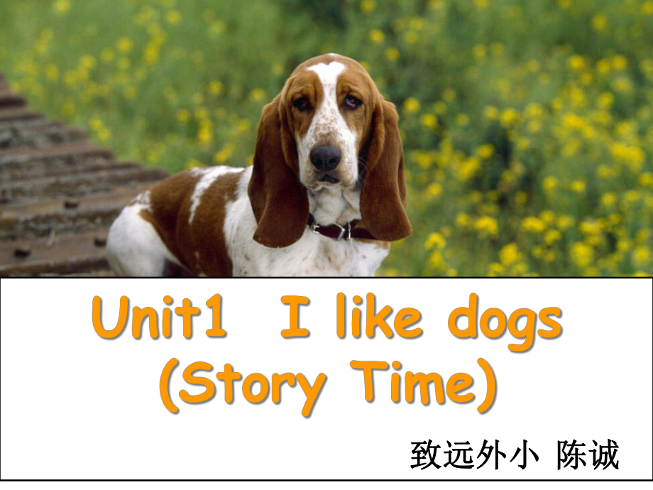 四年级英语上册译林版-Unit1--Story--time部优级教学课件.ppt--（课件中不含音视频）_第2页