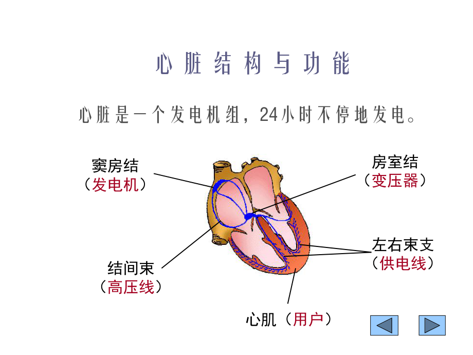 心脏骤停的抢救-幻灯片课件.ppt_第2页