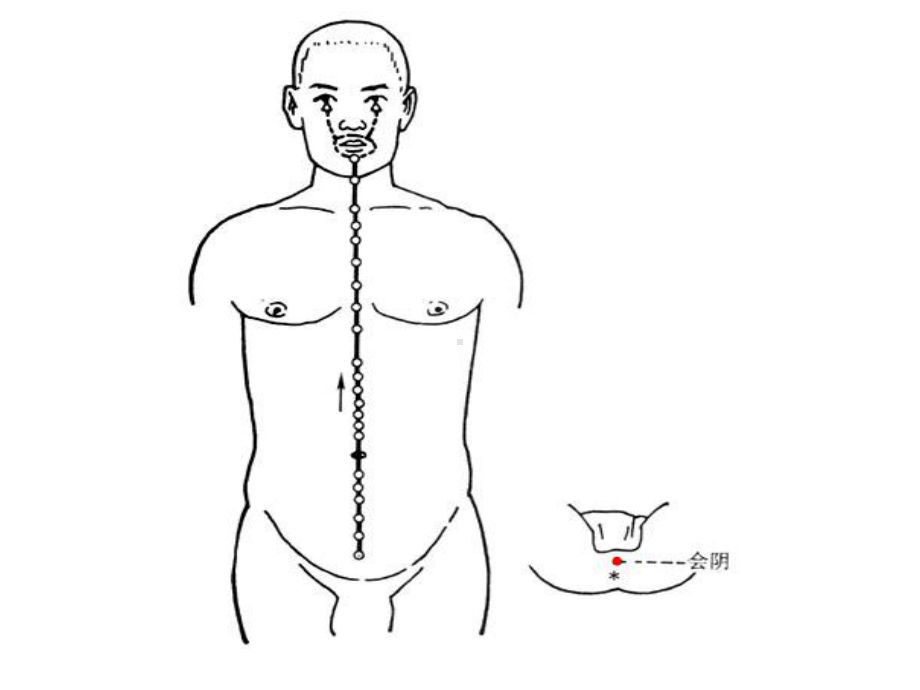 医学课件-任脉.ppt_第2页