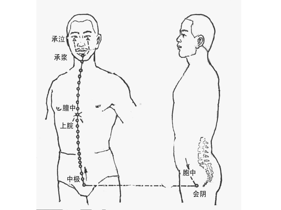 医学课件-任脉.ppt_第3页