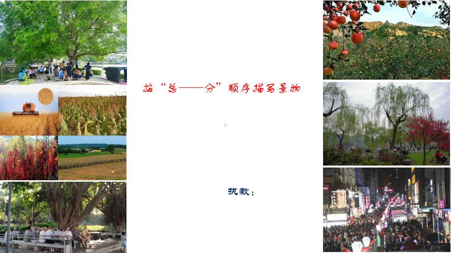 按“总-分”顺序描写景物课件.ppt_第1页