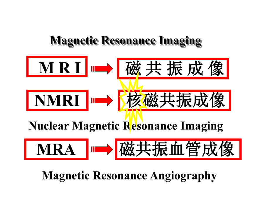 新生儿常见颅脑疾病的MR诊断课件.ppt_第2页