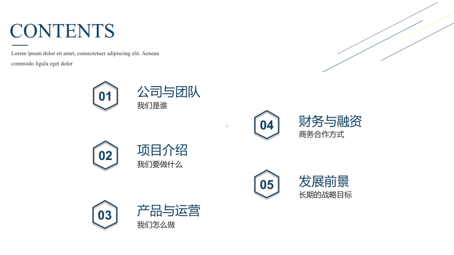 商业融资计划书模板课件.pptx_第2页