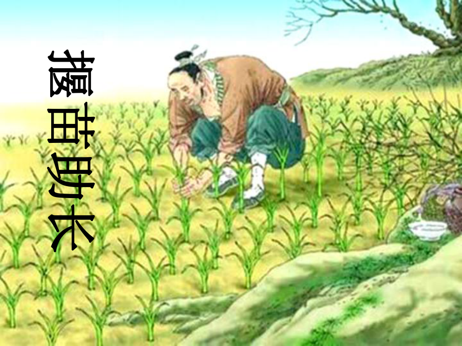 小学语文阅读课《寓言》教学课件.ppt_第2页