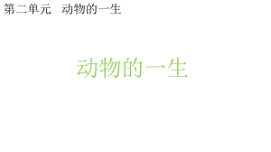 教科版小学科学新版三年级下册科学28动物的一生课件.pptx