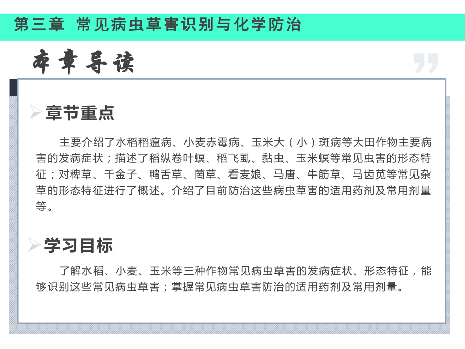 无人机植保技术课件-第3章-常见病虫草害识别与化学防治.pptx_第3页