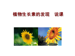 植物生长素的发现(说课)课件.ppt