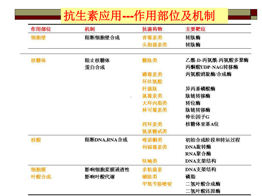 抗生素的临床合理使用及进展课件.ppt_第2页