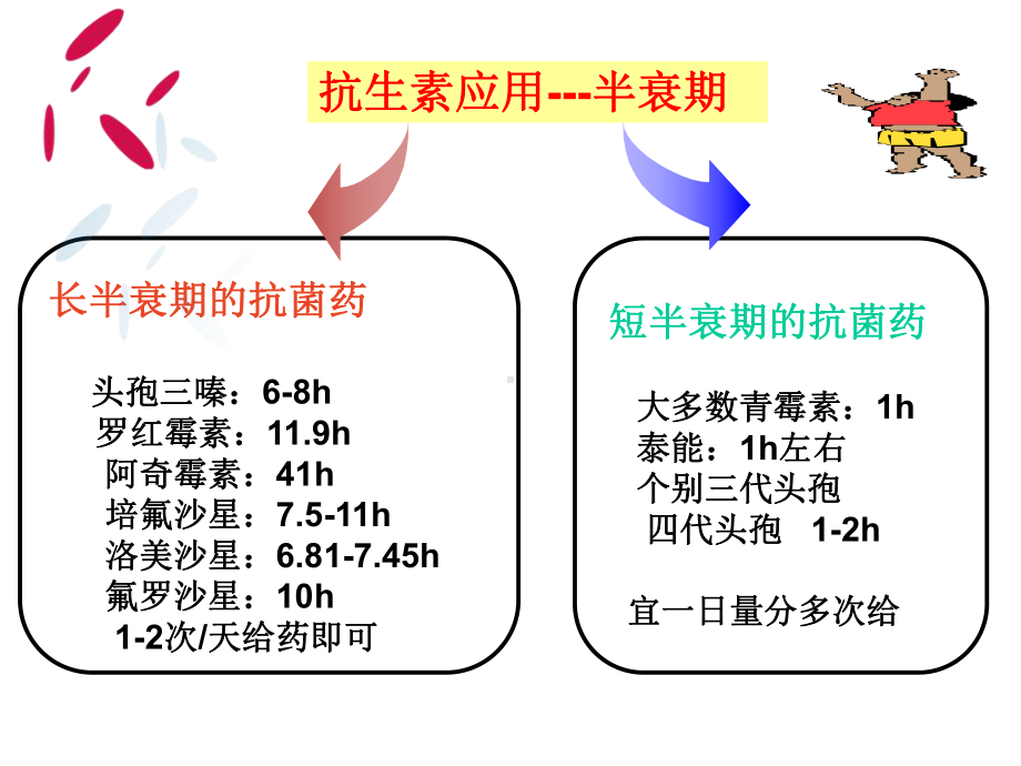 抗生素的临床合理使用及进展课件.ppt_第3页