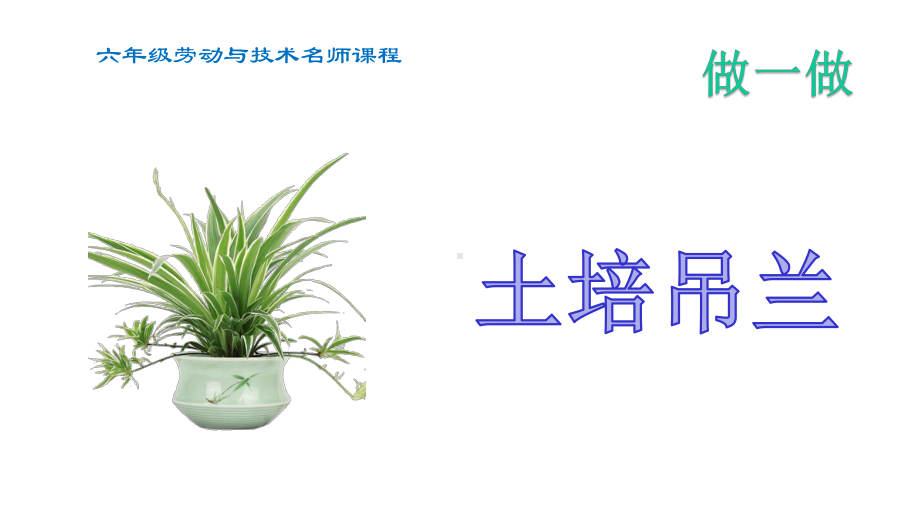 小学六年级劳动与技术家庭种植课件.pptx_第3页