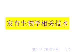 发育生物学技术课件.ppt