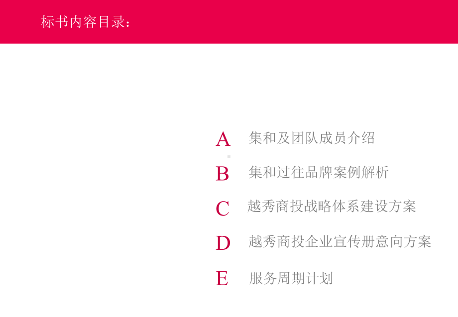 商投品牌战略体系形象建设方案.pptx_第2页