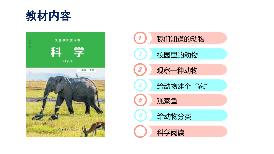 教科版科学小学一年级下册课件：动物教材解读.ppt_第2页