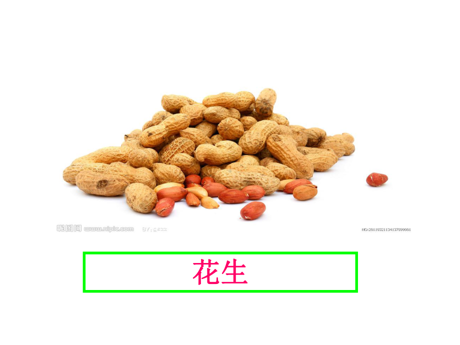 新星幼儿园大班健康《硬硬的壳-香香的肉》课件.ppt_第3页