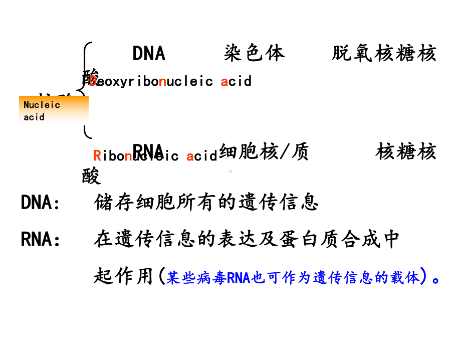 核酸的结构与功能及核苷酸代谢课件.ppt_第2页