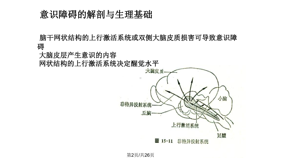 意识障碍月日课件.pptx_第2页