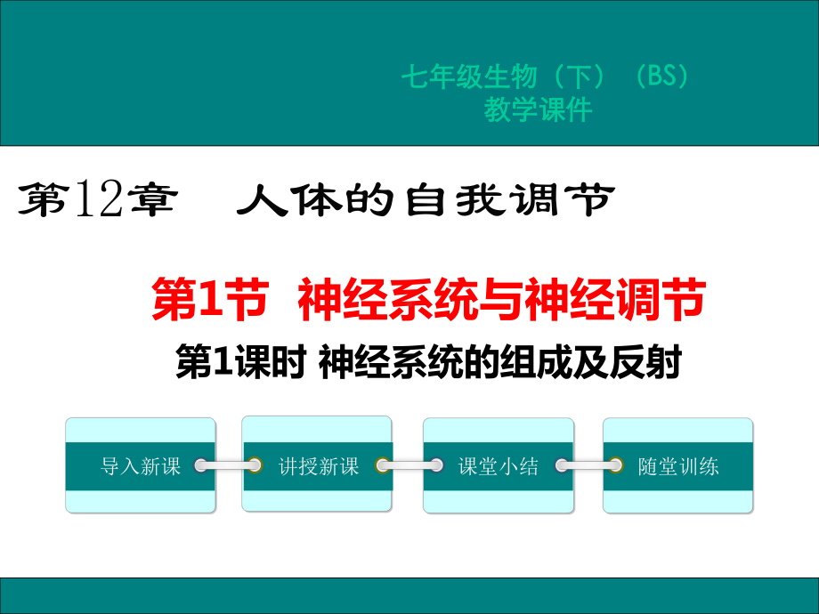 北师大版七年级生物下册第12章人体的自我调节课件.pptx_第1页